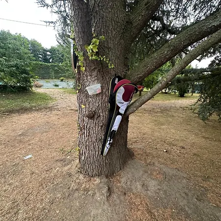 Les Oiseaux Résidence Camblain-Chatelain