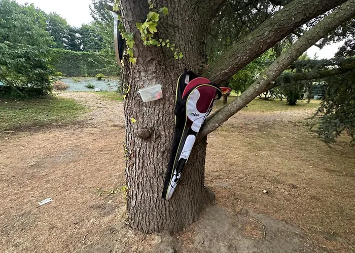 Les Oiseaux Camblain-Chatelain